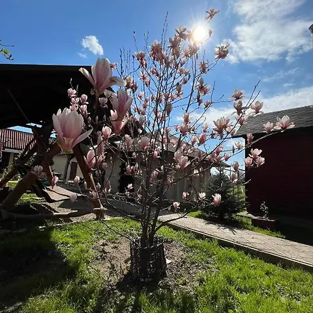 Cottage 'Carolina' With Hot Tub, Sauna And Bbq Area Kosiv Exterior photo